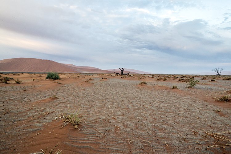 NAM HAR Dune45 2016NOV21 022