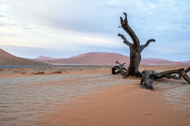 NAM HAR Dune45 2016NOV21 024