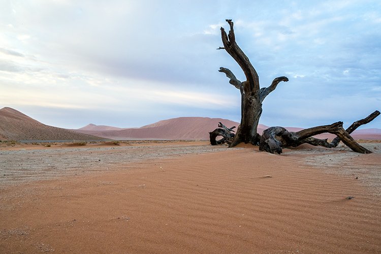 NAM HAR Dune45 2016NOV21 025