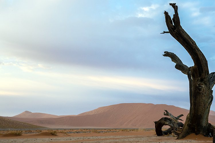 NAM HAR Dune45 2016NOV21 027