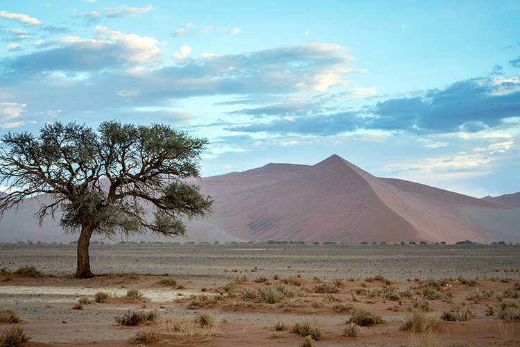 NAM HAR Dune45 2016NOV21 028