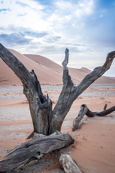 NAM HAR Dune45 2016NOV21 029
