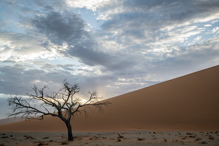 NAM HAR Dune45 2016NOV21 032