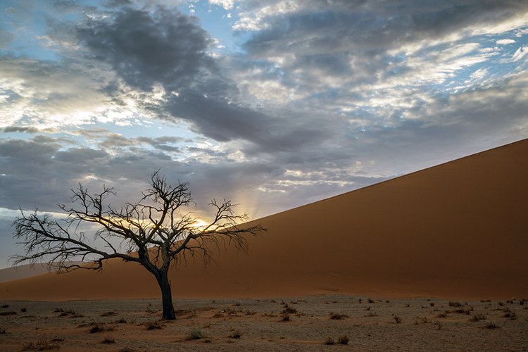 NAM HAR Dune45 2016NOV21 033