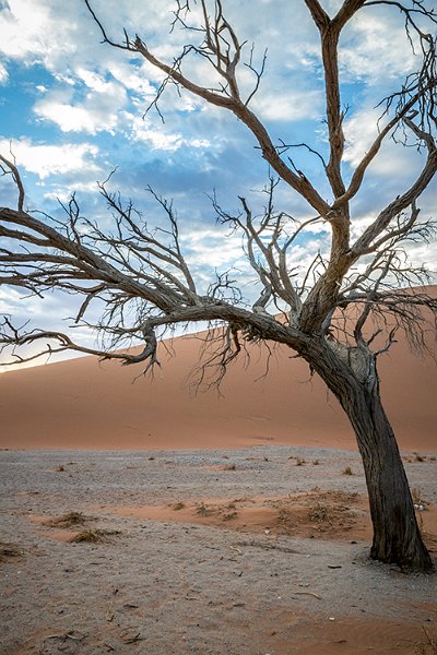 NAM HAR Dune45 2016NOV21 034
