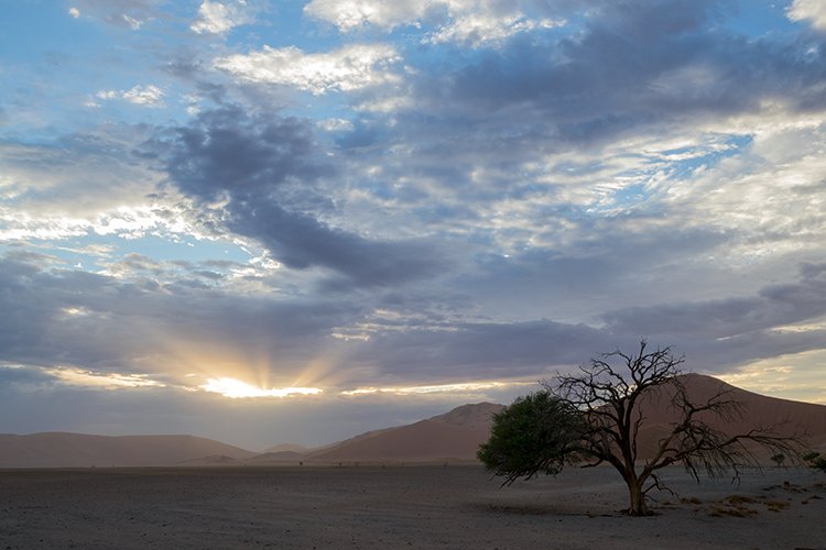 NAM HAR Dune45 2016NOV21 035