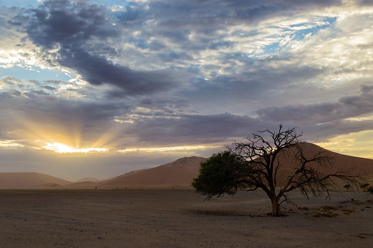 NAM HAR Dune45 2016NOV21 036