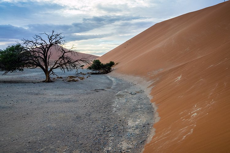 NAM HAR Dune45 2016NOV21 037