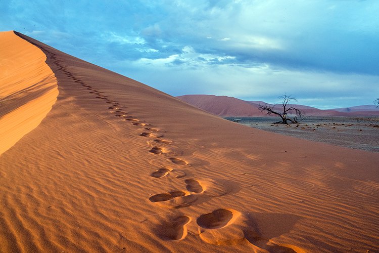 NAM HAR Dune45 2016NOV21 045