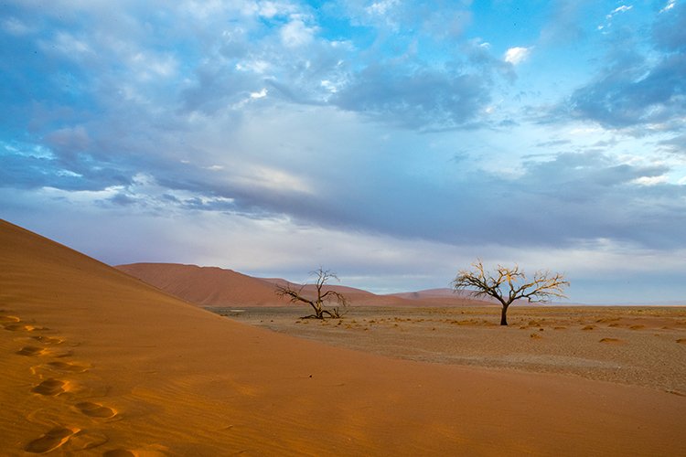 NAM HAR Dune45 2016NOV21 046