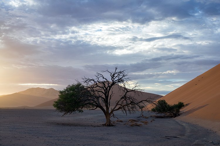 NAM HAR Dune45 2016NOV21 048