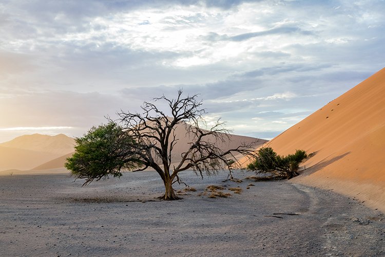 NAM HAR Dune45 2016NOV21 049
