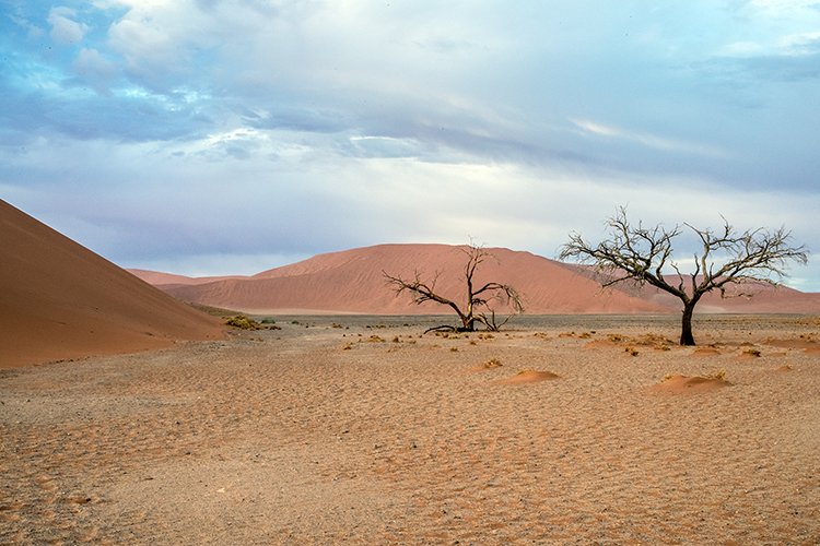 NAM HAR Dune45 2016NOV21 055