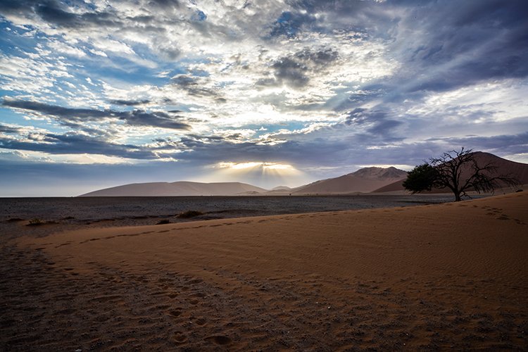 NAM HAR Dune45 2016NOV21 059