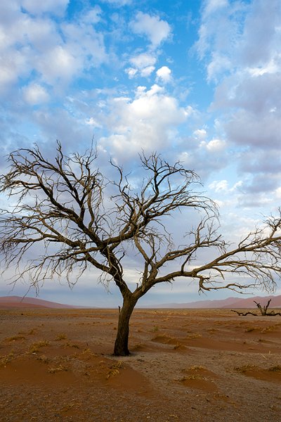 NAM HAR Dune45 2016NOV21 061