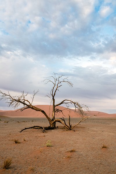 NAM HAR Dune45 2016NOV21 062