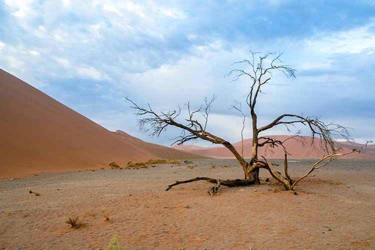NAM HAR Dune45 2016NOV21 063