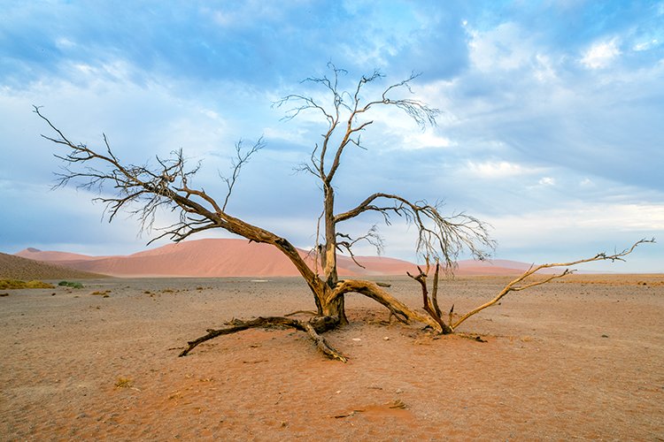 NAM HAR Dune45 2016NOV21 064