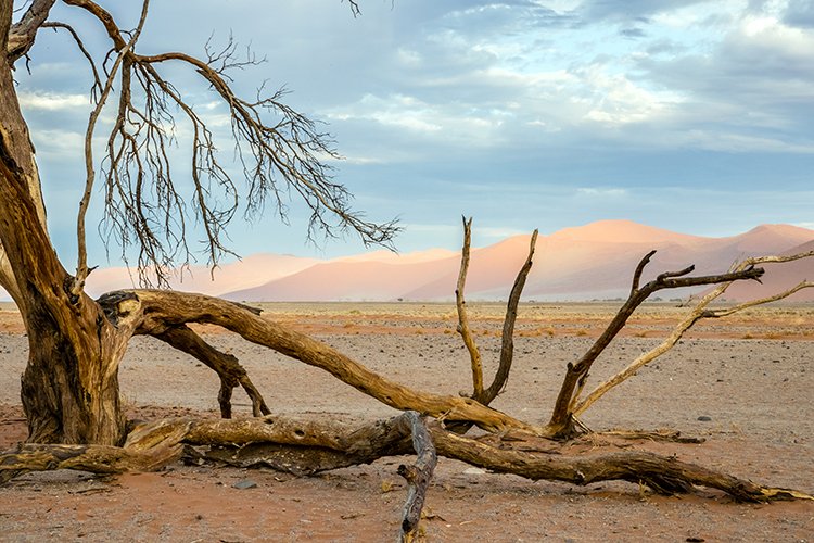 NAM HAR Dune45 2016NOV21 065