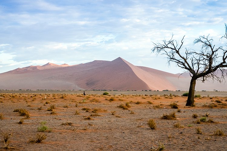 NAM HAR Dune45 2016NOV21 066