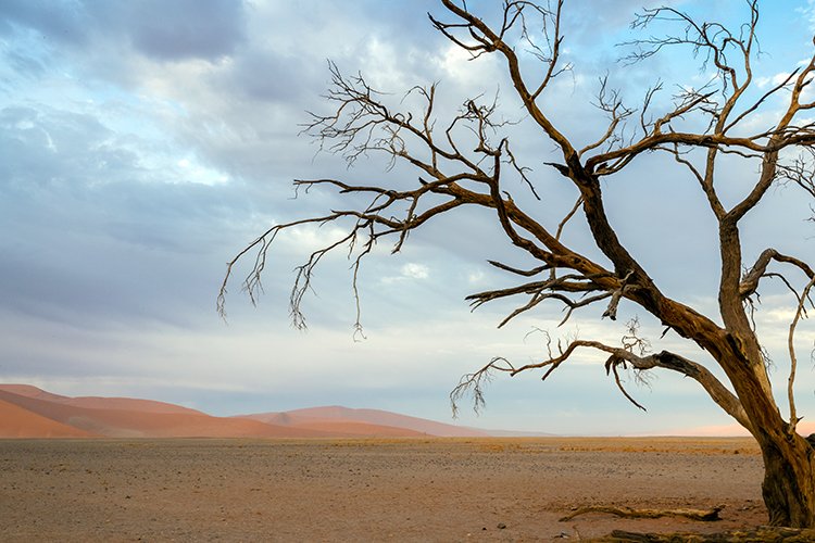 NAM HAR Dune45 2016NOV21 067