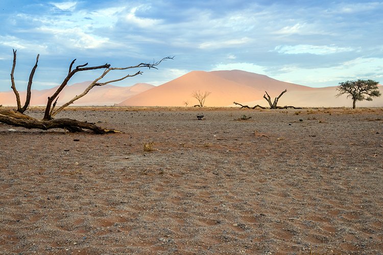 NAM HAR Dune45 2016NOV21 070