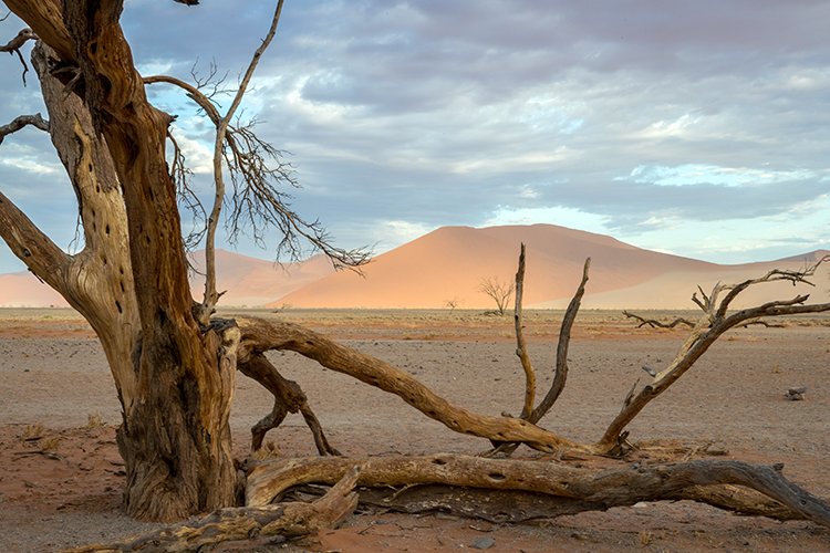 NAM HAR Dune45 2016NOV21 072