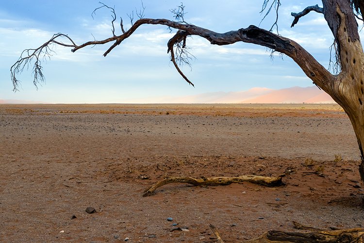 NAM HAR Dune45 2016NOV21 073