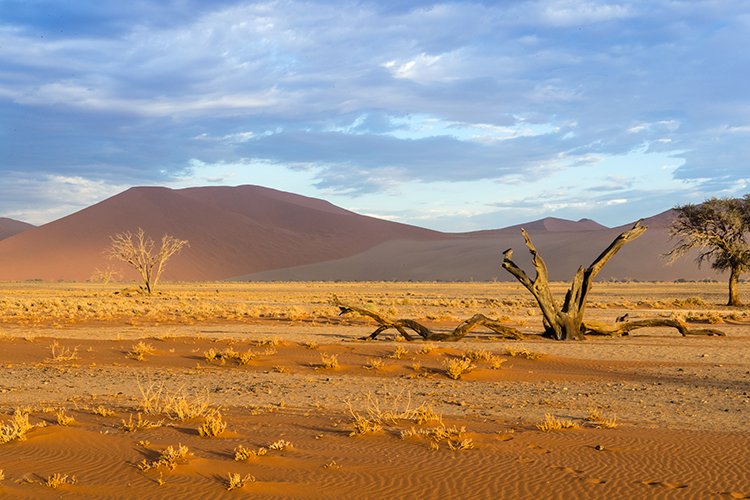 NAM HAR Dune45 2016NOV21 075