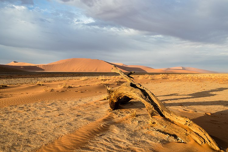 NAM HAR Dune45 2016NOV21 076
