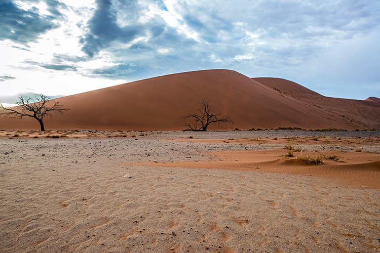 NAM HAR Dune45 2016NOV21 078