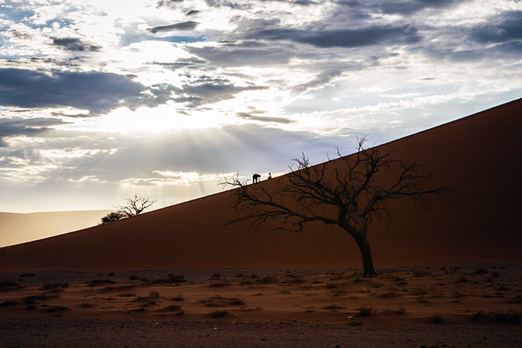 NAM HAR Dune45 2016NOV21 079