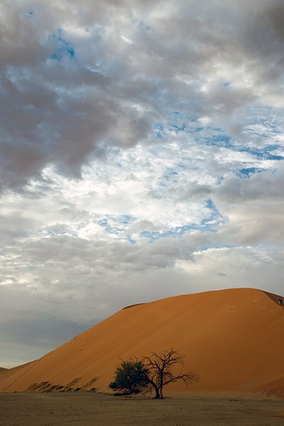 NAM HAR Dune45 2016NOV21 083