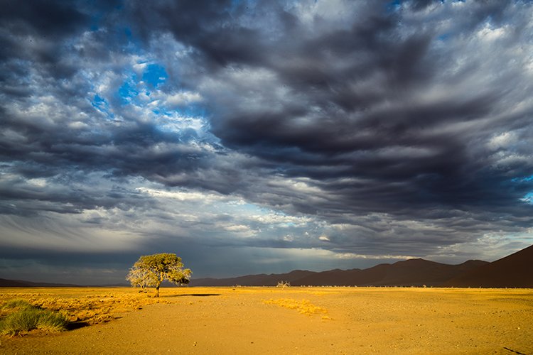 NAM HAR Dune45 2016NOV21 093