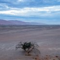 NAM HAR Dune45 2016NOV21 011 : 2016, 2016 - African Adventures, Africa, Namibia, November, Southern, Hardap, Dune 45