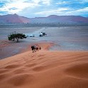 NAM HAR Dune45 2016NOV21 017 : 2016, 2016 - African Adventures, Africa, Namibia, November, Southern, Hardap, Dune 45