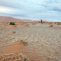 NAM HAR Dune45 2016NOV21 021 : 2016 - African Adventures, Hardap, Namibia, Southern, Africa, Dune 45, 2016, November