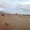NAM HAR Dune45 2016NOV21 022 : 2016 - African Adventures, Hardap, Namibia, Southern, Africa, Dune 45, 2016, November