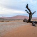 NAM HAR Dune45 2016NOV21 024 : 2016 - African Adventures, Hardap, Namibia, Southern, Africa, Dune 45, 2016, November