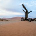 NAM HAR Dune45 2016NOV21 025 : 2016 - African Adventures, Hardap, Namibia, Southern, Africa, Dune 45, 2016, November