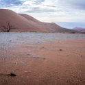 NAM HAR Dune45 2016NOV21 026 : 2016 - African Adventures, Hardap, Namibia, Southern, Africa, Dune 45, 2016, November