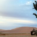 NAM HAR Dune45 2016NOV21 027 : 2016 - African Adventures, Hardap, Namibia, Southern, Africa, Dune 45, 2016, November