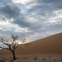 NAM HAR Dune45 2016NOV21 032 : 2016 - African Adventures, Hardap, Namibia, Southern, Africa, Dune 45, 2016, November