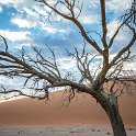 NAM HAR Dune45 2016NOV21 034 : 2016 - African Adventures, Hardap, Namibia, Southern, Africa, Dune 45, 2016, November