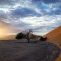 NAM HAR Dune45 2016NOV21 042 : 2016 - African Adventures, Hardap, Namibia, Southern, Africa, Dune 45, 2016, November