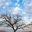 NAM HAR Dune45 2016NOV21 061 : 2016 - African Adventures, Hardap, Namibia, Southern, Africa, Dune 45, 2016, November