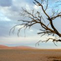 NAM HAR Dune45 2016NOV21 067 : 2016 - African Adventures, Hardap, Namibia, Southern, Africa, Dune 45, 2016, November