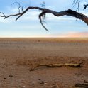 NAM HAR Dune45 2016NOV21 073 : 2016 - African Adventures, Hardap, Namibia, Southern, Africa, Dune 45, 2016, November