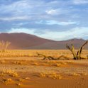 NAM HAR Dune45 2016NOV21 075 : 2016 - African Adventures, Hardap, Namibia, Southern, Africa, Dune 45, 2016, November
