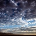 NAM HAR Dune45 2016NOV21 087 : 2016 - African Adventures, Hardap, Namibia, Southern, Africa, Dune 45, 2016, November